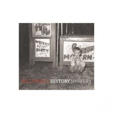 Bill Frisell - History, Mystery