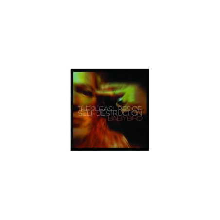 The Pleasures of self destruction Babybird